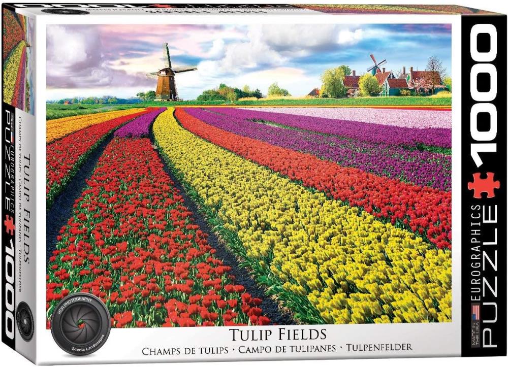 Eurographics Puzzle Tulpenfelder in Holland - B Ware